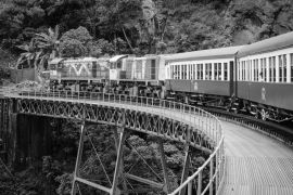 Lais Puzzle - Kuranda Scenic Train, Queensland, Australien in schwarz weiß - 2.000 Teile