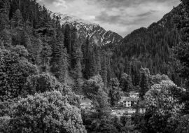 Lais Puzzle - Landschaft in den Bergen. Malerische Aussicht auf die goldene Stunde im Himalaya-Gebirge. Blick auf den Sonnenaufgang im dichten Wald des Himalaya-Dorfes Grahan, Kasol, Himachal Pradesh, Indien in schwarz weiß - 1.000 Teile