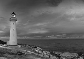 Lais Puzzle - Castle Point Leuchtturm Neuseeland in schwarz weiß - 500, 1.000 & 2.000 Teile