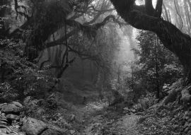 Lais Puzzle - Wolkenstein Nepal in schwarz weiß - 500, 1.000 & 2.000 Teile