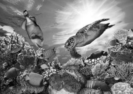 Lais Puzzle - Unterwasser Fische Tropen in schwarz weiß - 500, 1.000 & 2.000 Teile