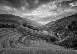 Lais Puzzle - Terrassenreisfeld - Bezirk Mù Căng Chải, Provinz Yen Bai, Vietnam in schwarz weiß - 500, 1.000 & 2.000 Teile