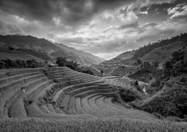 Lais Puzzle - Terrassenreisfeld - Bezirk Mù Căng Chải, Provinz Yen Bai, Vietnam in schwarz weiß - 1.000 Teile