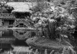 Lais Puzzle - Mindo Loma, Öko-Lodge, Ecuador in schwarz weiß - 1.000 Teile