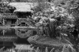 Lais Puzzle - Mindo Loma, Öko-Lodge, Ecuador in schwarz weiß - 2.000 Teile