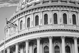 Lais Puzzle - United States Capitol, Washington D.C. in schwarz weiß - 2.000 Teile