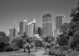 Lais Puzzle - Der Königliche Botanische Garten in Sydney in schwarz weiß - 500, 1.000 & 2.000 Teile