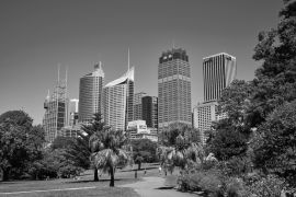 Lais Puzzle - Der Königliche Botanische Garten in Sydney in schwarz weiß - 2.000 Teile