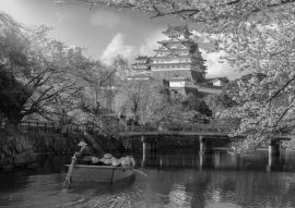 Lais Puzzle - Burg Himeji mit wunderschönen Kirschblüten, die Burg Himeji ist ein berühmter Aussichtspunkt für Kirschblüten in Osaka in schwarz weiß - 500, 1.000 & 2.000 Teile