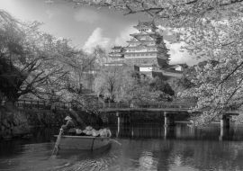 Lais Puzzle - Burg Himeji mit wunderschönen Kirschblüten, die Burg Himeji ist ein berühmter Aussichtspunkt für Kirschblüten in Osaka in schwarz weiß - 1.000 Teile