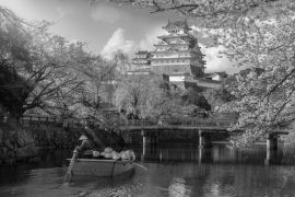 Lais Puzzle - Burg Himeji mit wunderschönen Kirschblüten, die Burg Himeji ist ein berühmter Aussichtspunkt für Kirschblüten in Osaka in schwarz weiß - 2.000 Teile