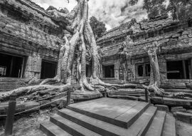 Lais Puzzle - Alter buddhistischer Khmer-Tempel in Angkor Wat, Kambodscha.Ta Prohm Prasat in schwarz weiß - 500, 1.000 & 2.000 Teile