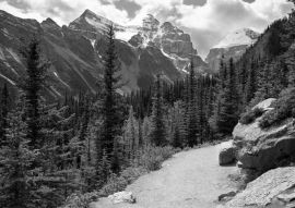 Lais Puzzle - Lake Louise, Alberta, Kanada in schwarz weiß - 500, 1.000 & 2.000 Teile