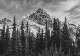 Lais Puzzle - Blick auf die kanadischen Rocky Mountains im Banff National Park in Alberta in schwarz weiß - 500, 1.000 & 2.000 Teile