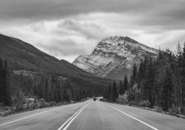 Lais Puzzle - Roadtrip mit Rocky Mountains im Herbstwald bei trübem Wetter im Banff National Park in schwarz weiß - 500, 1.000 & 2.000 Teile