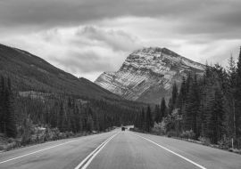 Lais Puzzle - Roadtrip mit Rocky Mountains im Herbstwald bei trübem Wetter im Banff National Park in schwarz weiß - 1.000 Teile