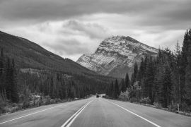 Lais Puzzle - Roadtrip mit Rocky Mountains im Herbstwald bei trübem Wetter im Banff National Park in schwarz weiß - 2.000 Teile