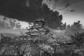 Lais Puzzle - Kirschblüte im Schloss von Osaka, Japan bei Nacht in schwarz weiß - 2.000 Teile