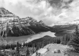 Lais Puzzle - Peyto See ähnelt einem Fuchs im Banff Nationalpark in Kanada in schwarz weiß - 500, 1.000 & 2.000 Teile