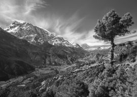 Lais Puzzle - Annapurna Gebirgskette Landschaftsansicht von der Trekkingroute zwischen den Dörfern Pisang und Manang im nepalesischen Himalaya Gebirge in schwarz weiß - 500, 1.000 & 2.000 Teile