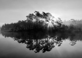 Lais Puzzle - Silhouette von Bäumen und See bei Sonnenaufgang, Svartedalen, Schweden in schwarz weiß - 500, 1.000 & 2.000 Teile