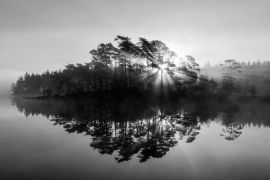Lais Puzzle - Silhouette von Bäumen und See bei Sonnenaufgang, Svartedalen, Schweden in schwarz weiß - 2.000 Teile