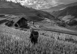Lais Puzzle - schöne Reisterrassen, in Mu cang chai, Yenbai, Vietnam in schwarz weiß - 1.000 Teile