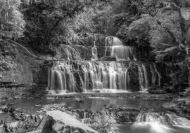 Lais Puzzle - Purakaunui Falls in der Catlins-Region in Neuseeland in schwarz weiß - 1.000 Teile