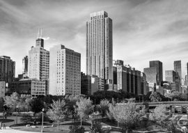 Lais Puzzle - Skyline von Chicago am Grant Park in Illinois - Vereinigte Staaten in schwarz weiß - 500, 1.000 & 2.000 Teile