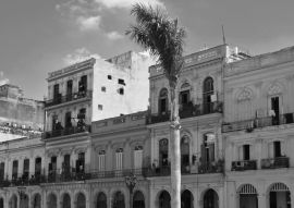 Lais Puzzle - Havanna, Kuba, bunte Kolonialhäuser, blauer Himmel im Hintergrund, Palme im Vordergrund in schwarz weiß - 500, 1.000 & 2.000 Teile