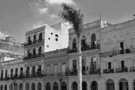 Lais Puzzle - Havanna, Kuba, bunte Kolonialhäuser, blauer Himmel im Hintergrund, Palme im Vordergrund in schwarz weiß - 2.000 Teile