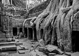Lais Puzzle - Die antiken Ruinen von Angkor Wat in Kambodscha in schwarz weiß - 500, 1.000 & 2.000 Teile