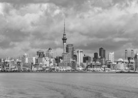 Lais Puzzle - Auckland Neuseeland Stadtbild Panorama-Ansicht in schwarz weiß - 500, 1.000 & 2.000 Teile