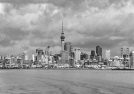 Lais Puzzle - Auckland Neuseeland Stadtbild Panorama-Ansicht in schwarz weiß - 1.000 Teile