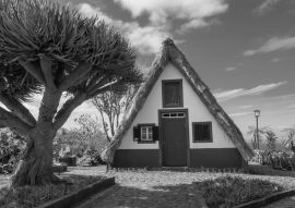 Lais Puzzle - Traditionelle alte Hütte und tropischer Baum im Dorf Santana, Insel Madeira, Portugal in schwarz weiß - 500, 1.000 & 2.000 Teile