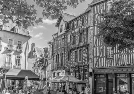 Lais Puzzle - Rennes in schwarz weiß - 1.000 Teile