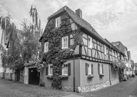 Lais Puzzle - Historische Altstadt von Hochheim am Main in schwarz weiß - 500, 1.000 & 2.000 Teile