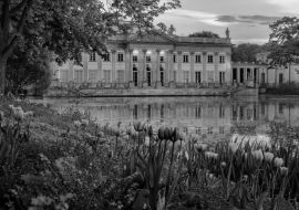 Lais Puzzle - Der Palast auf der Insel - Łazienki Królewskie. Ein neoklassizistischer Palast in Warschau mit vielen Blumen im Frühling in schwarz weiß - 1.000 Teile