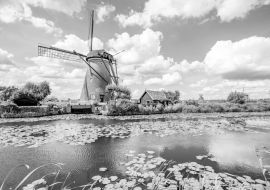 Lais Puzzle - Landschaftsblick auf die alten Windmühlen bei sonnigem Wetter in Kinderdijk, Niederlande in schwarz weiß - 1.000 Teile