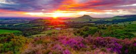 Lais Puzzle - Roseberry Topping, Nord-Yorkshire, England, Panorama - 2.000 Teile