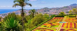 Lais Puzzle - Botanischer Garten in Funchal, Insel Madeira, Portugal, Panorama - 2.000 Teile