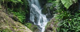 Lais Puzzle - Wasserfall im Lamington National Park in Queensland, Australien, Panorama - 2.000 Teile