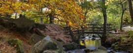 Lais Puzzle - Brücke im Padley Gorge Waldgebiet im Herbst, schöne Farben des Peak District, England, Panorama - 2.000 Teile