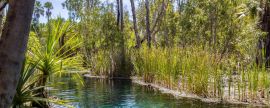 Lais Puzzle - Mataranka Hot Springs im Waterhouse River, Mataranka, Northern Territory, Australien, Panorama - 2.000 Teile