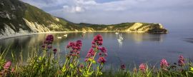 Lais Puzzle - Lulworth-Bucht, England, Panorama - 2.000 Teile