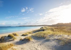 Lais Puzzle - Neuseeländische Küste - 1.000 Teile