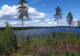 Lais Puzzle - Blick auf den Päijänne-See in Jamsä, Finnland - 1.000 Teile
