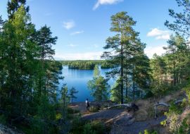 Lais Puzzle - Sommerliche Seeszene am Wanderweg im Teijo-Nationalpark, Salo, Finnland. Bäume und der Matildajarvi-See - 1.000 Teile