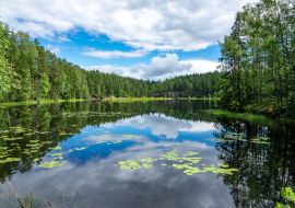 Lais Puzzle - Szene am Wanderweg im Nuuksio-Nationalpark, Espoo, Finnland - 1.000 Teile