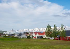 Lais Puzzle - Stadt Dalvik in Nordisland - 1.000 Teile